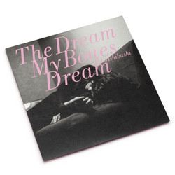 The Dream My Bones Dream