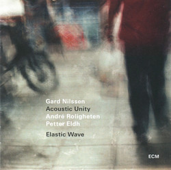 Elastic Wave
